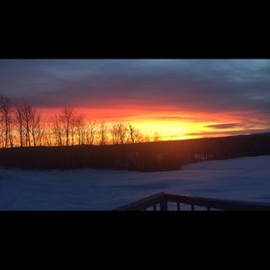 Meet your Posher, Mia